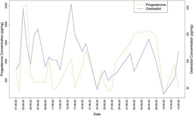 Anogenital scent-marking signals fertility in a captive female Alaotran gentle lemur